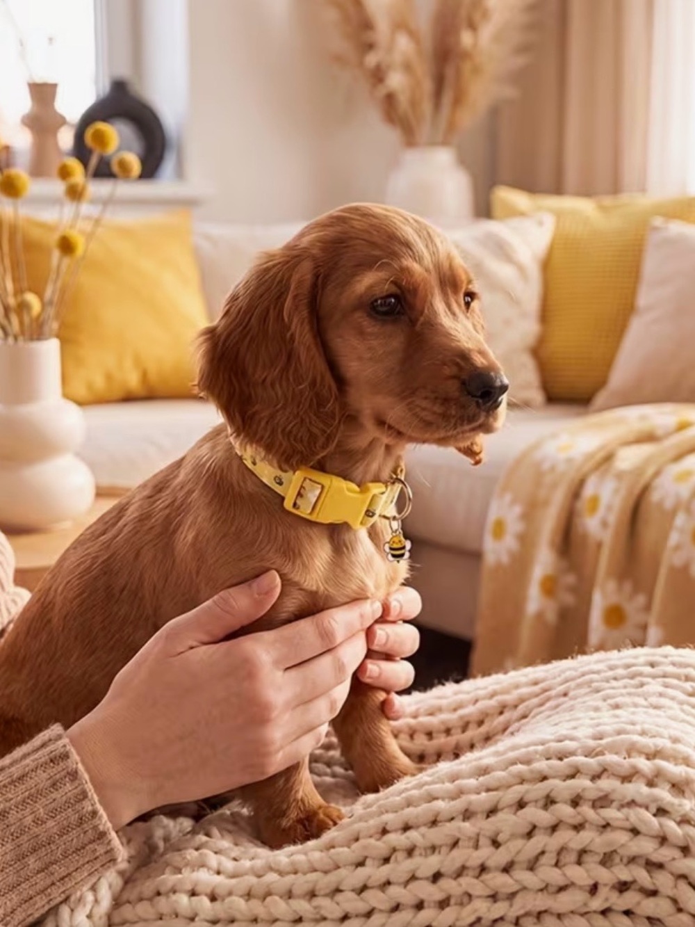 Yellow Bee Print Adjustable Dog Collar with bee charm. 🐝 XS or Medium sizes - Picture 4 of 7